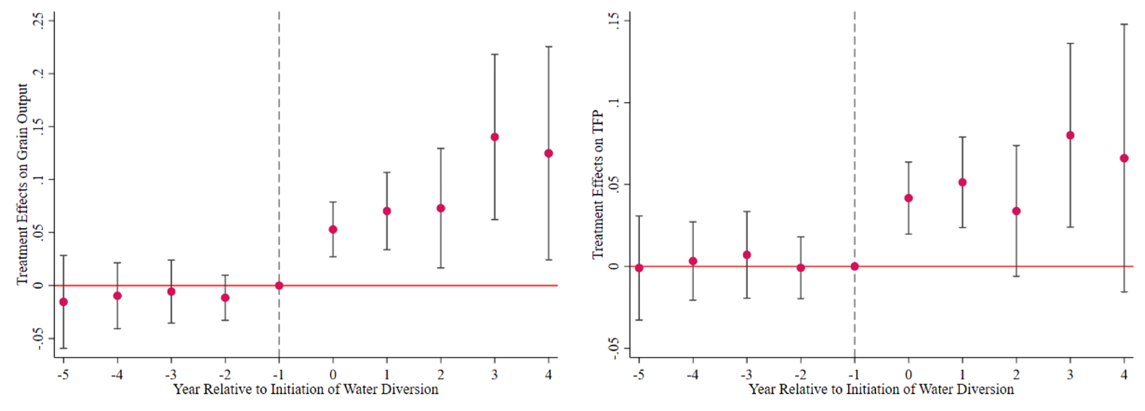 Dynamic effects of the SNWDP on grain output and TFP