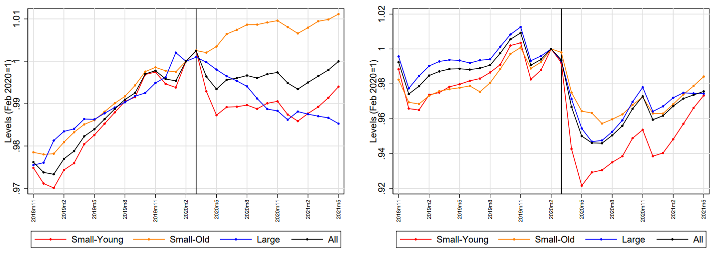 Firm and employment dynamics