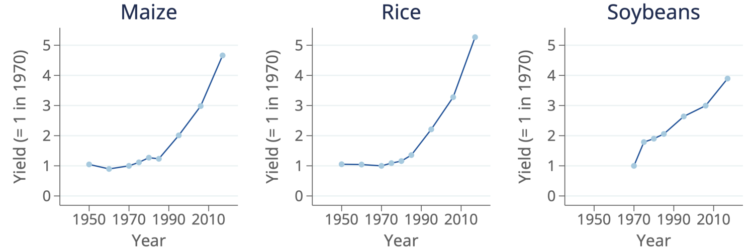 Productivity trends for staples: soy, maize, and rice