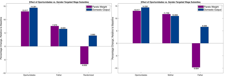 Effects of counterfactual wage subsidies