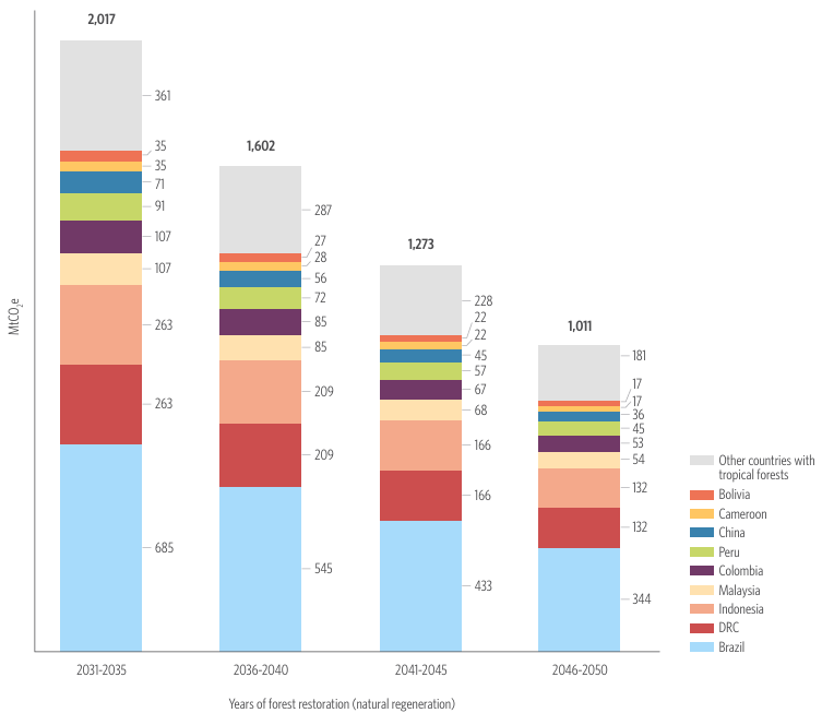 Simulating the Reversing Deforestation Mechanism from 2030 onwards