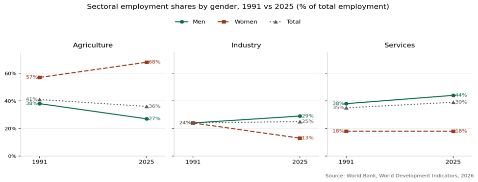 Sectoral employment shares by gender, 1991 vs. 2025 (% of total employment)
