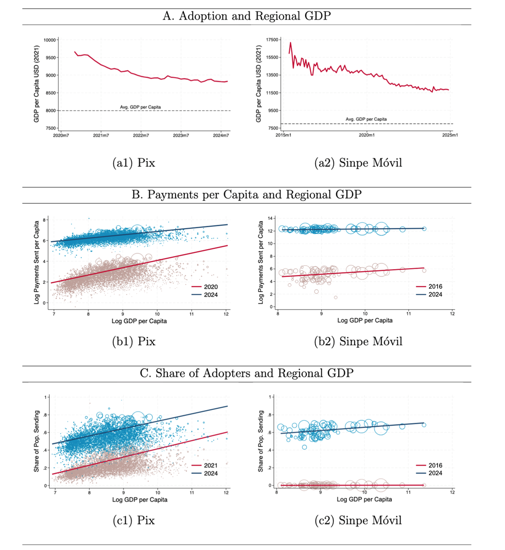Income and adoption dynamics