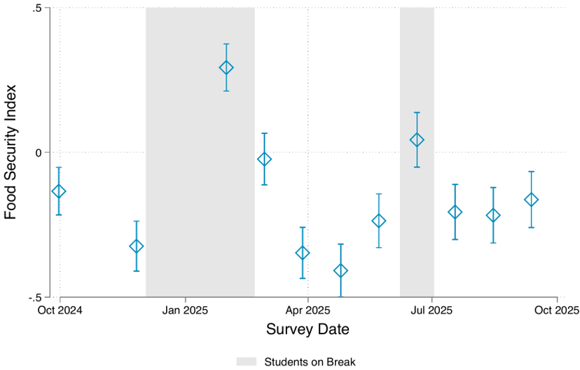 Food security over the academic year