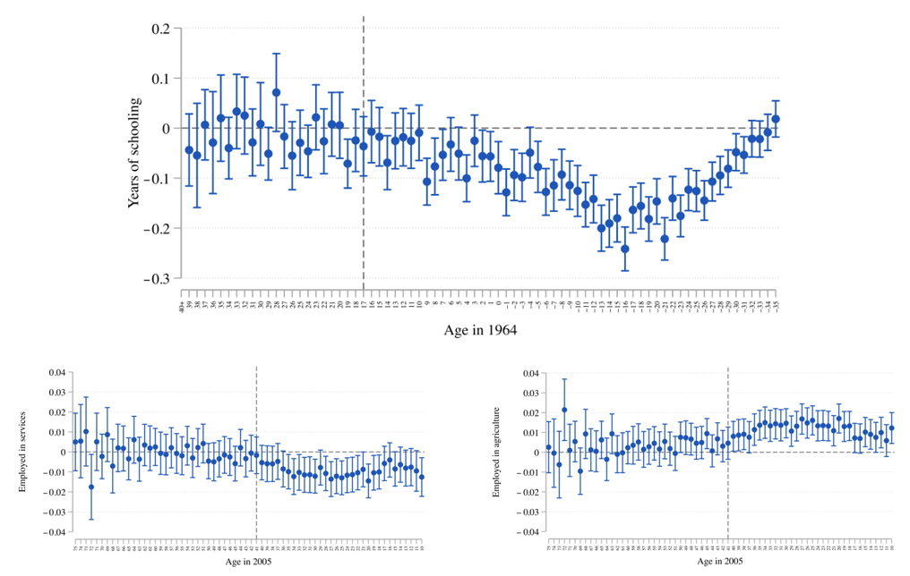 Impact of conflict on years of schooling and sector of employment.