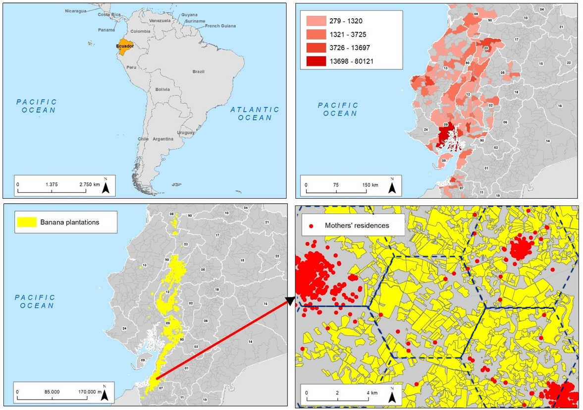 Mother’s locations and banana plantations in Ecuador