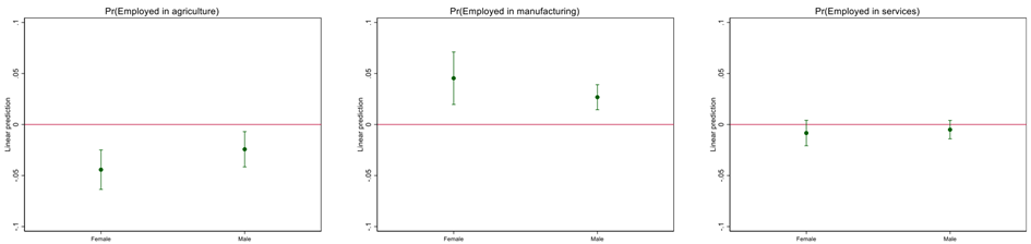 The Impact of SEZ exposure by gender