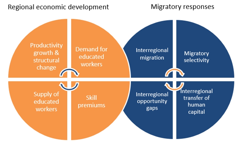 Feedback loops in regional economic development and migration