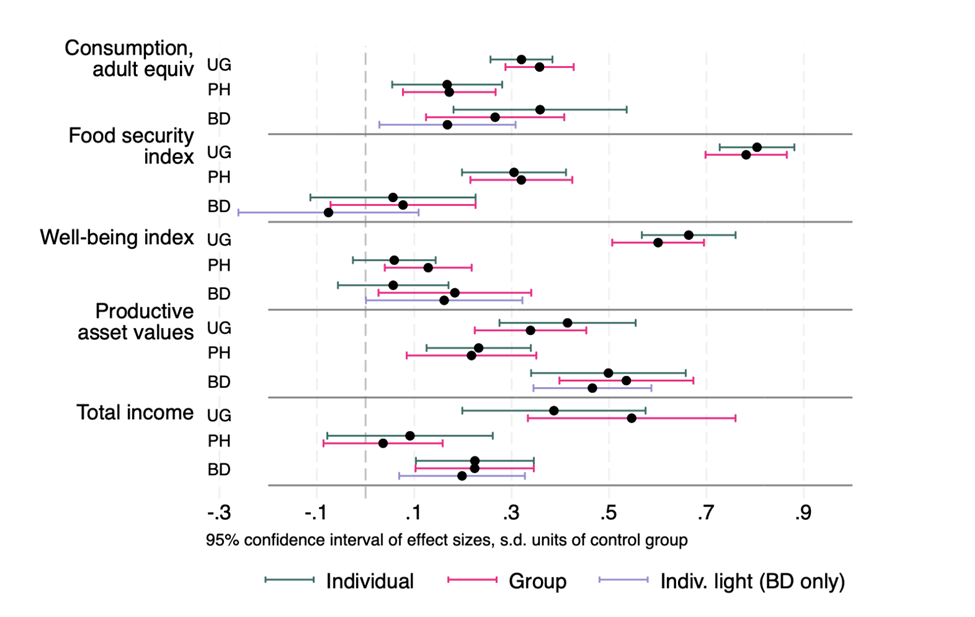 Standardised programme impacts on primary household outcomes