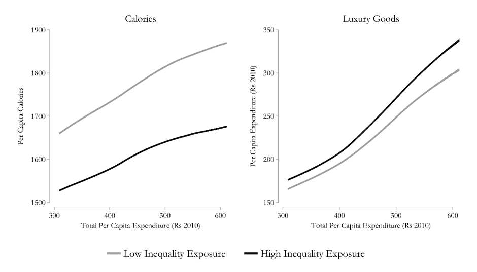 Engel curves showing calorie intake declining and luxury expenditure rising with inequality exposure
