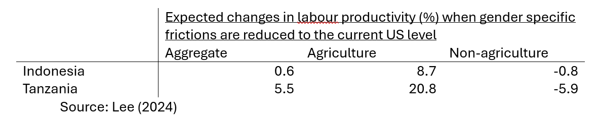 Expected changes in labour productivity (%) when gender specific frictions are reduced to the current US level