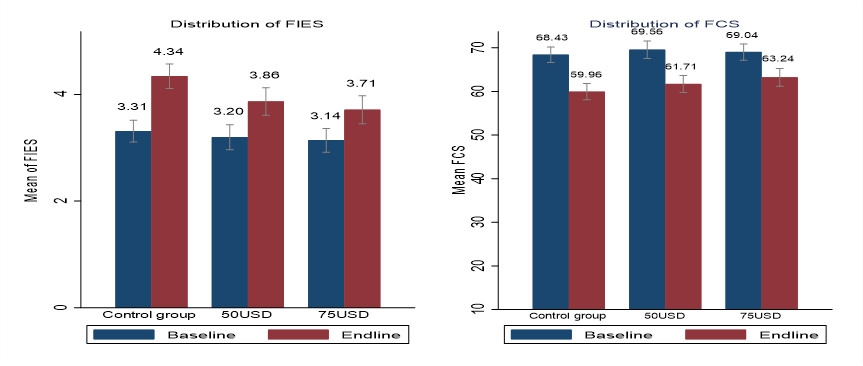 Food security outcomes at baseline and endline