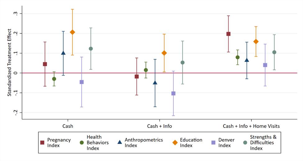 Effect of cash, information, and home visits on indices