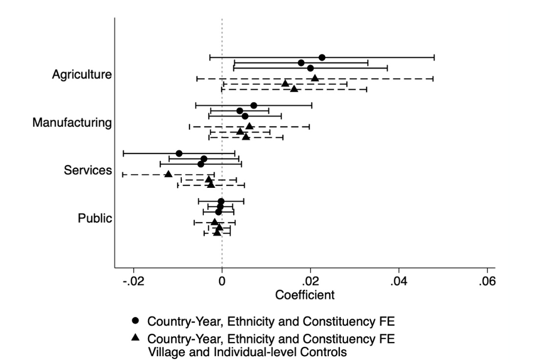 Which sectors are impacted by ethnic politics in Africa?