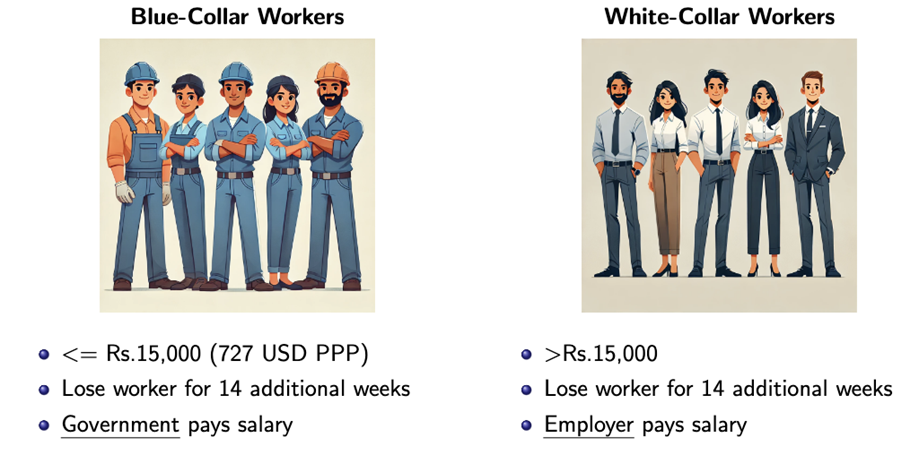 Maternity leave law for blue- and white-collar workers