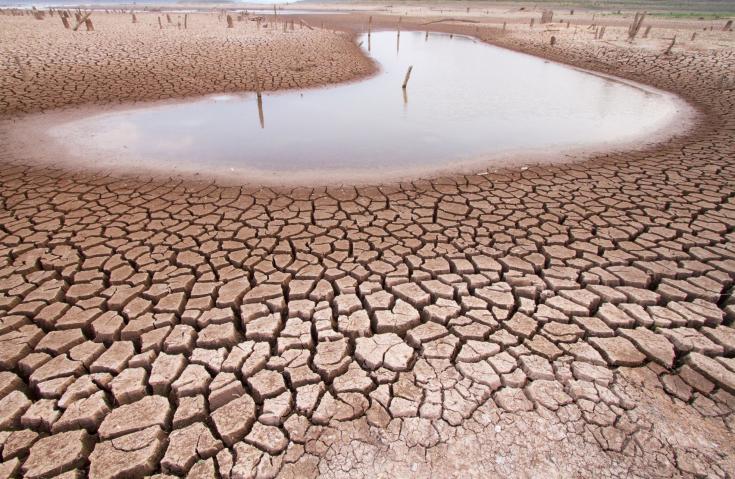 climate adaptation