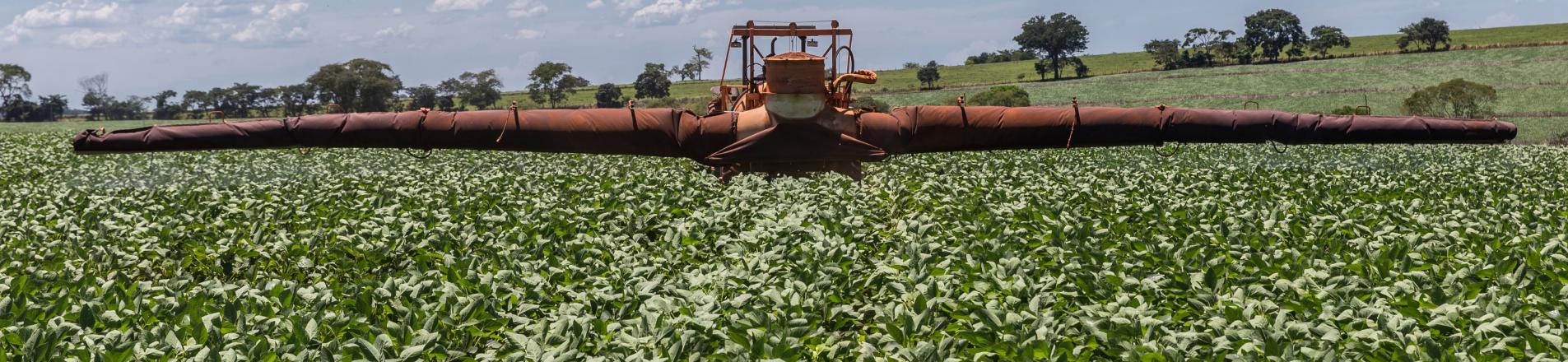 brazilian farmer applies pesticide to soybean
