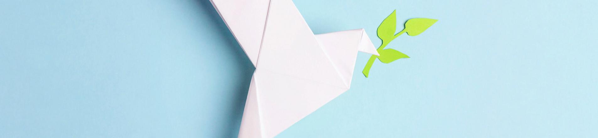 dove representing peace, reflecting this podcast's focus on peacebuilding
