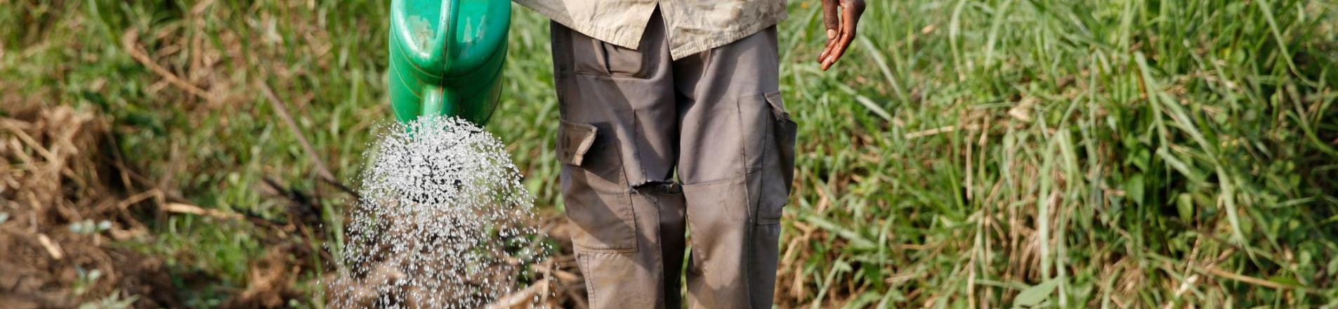 Microfinance in Uganda