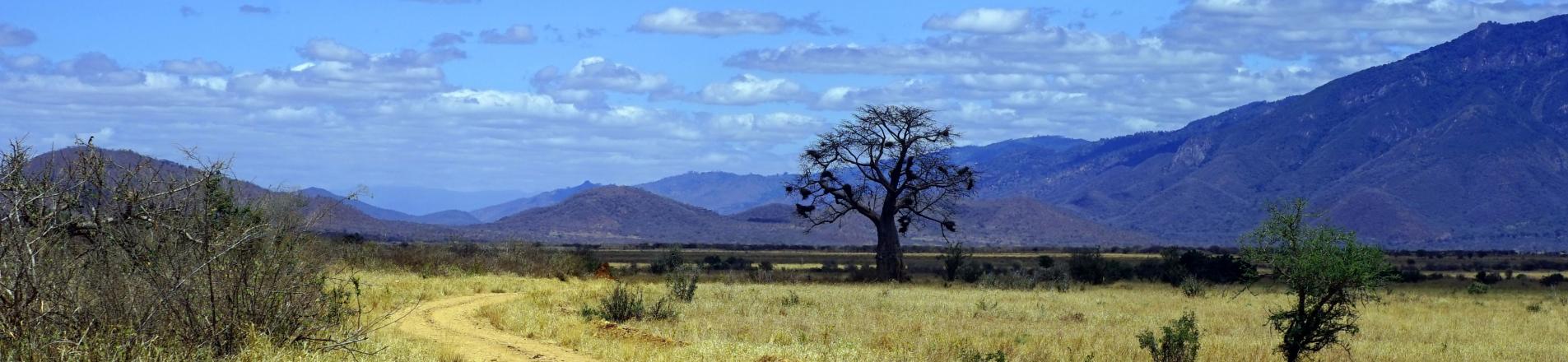 Northern Tanzania