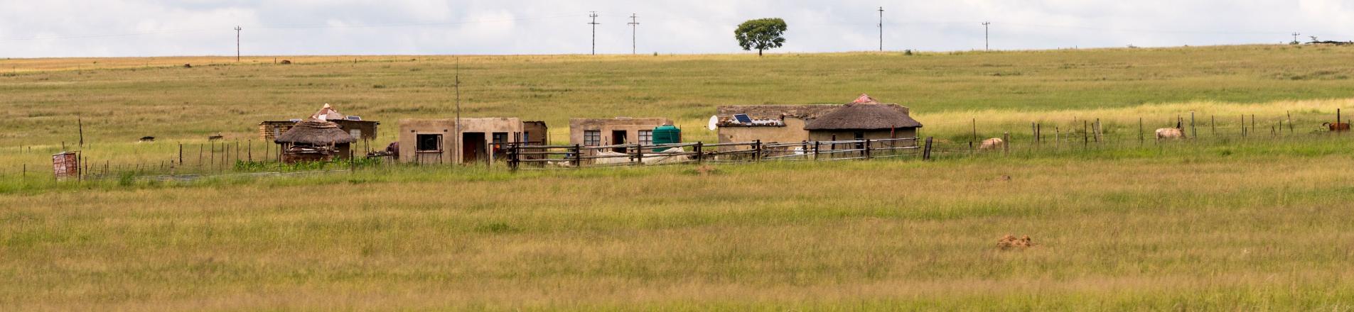 Smallholding in Africa