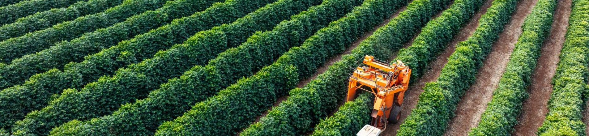 Brazil agricultural modernisation