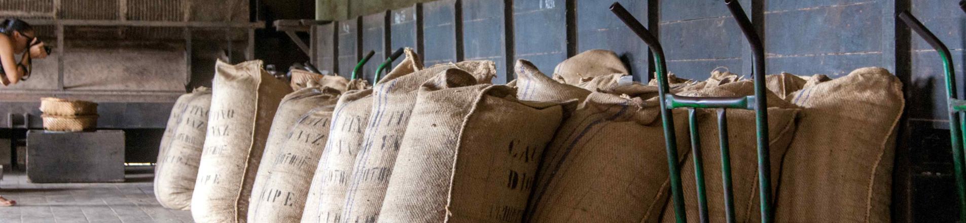 Bags of grain