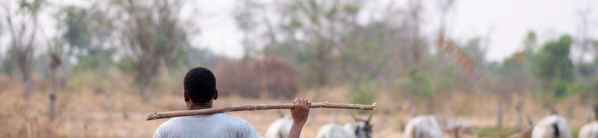 Herder in Nigeria