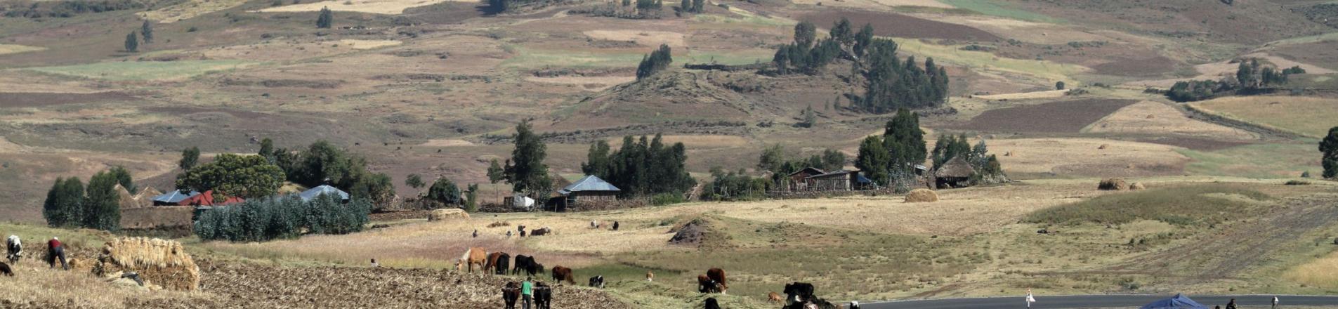 Road construction in Ethiopia