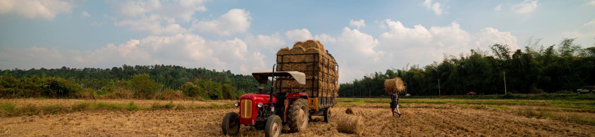 India tractor