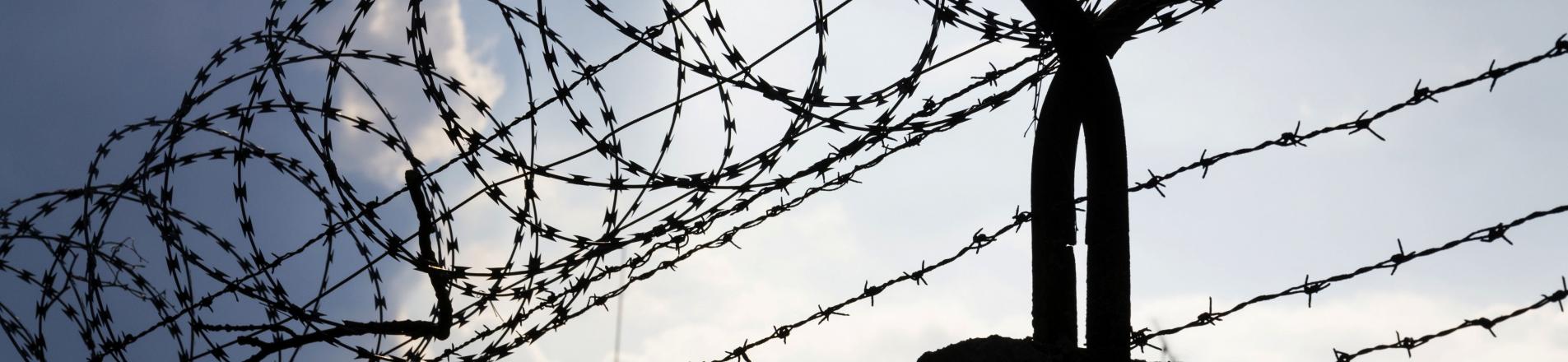 barbed wire on top of a fence, reflecting the theme of organised crime