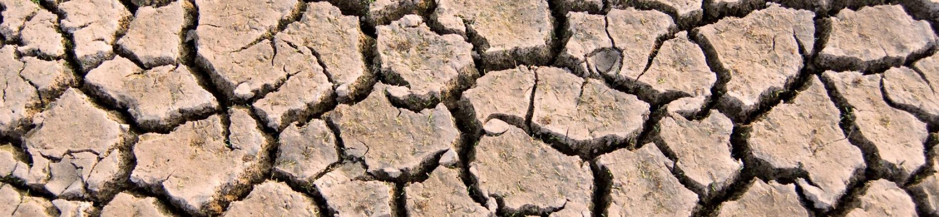 Drought in India