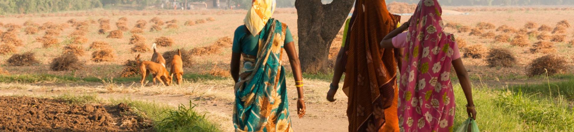 Women working in India