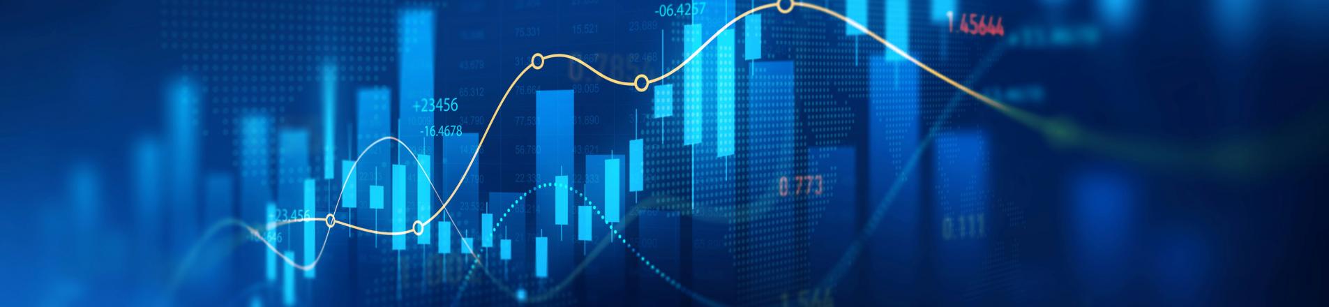 Investment networks
