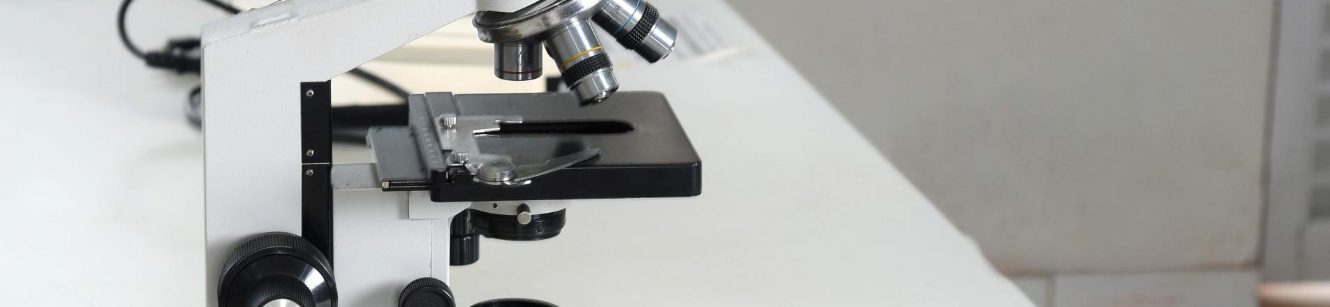 Microscope