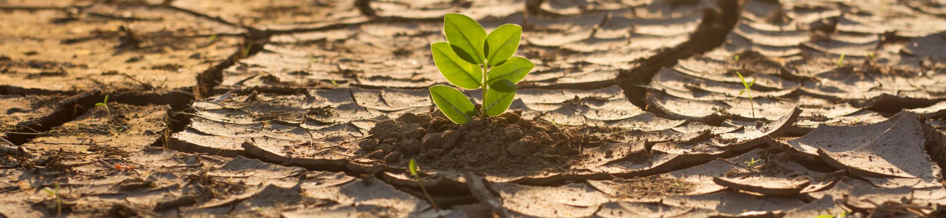 climate change in africa