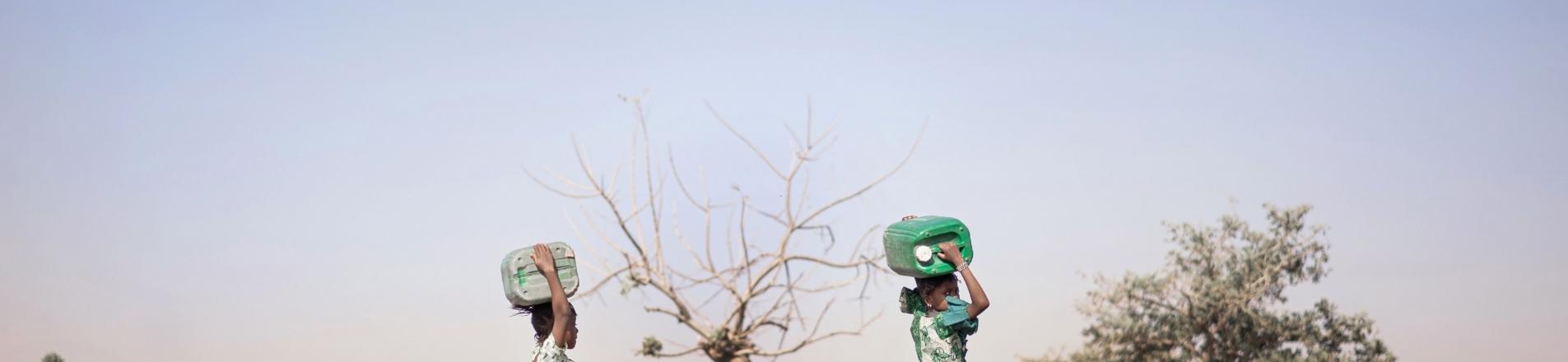 Climate-conflict poverty traps