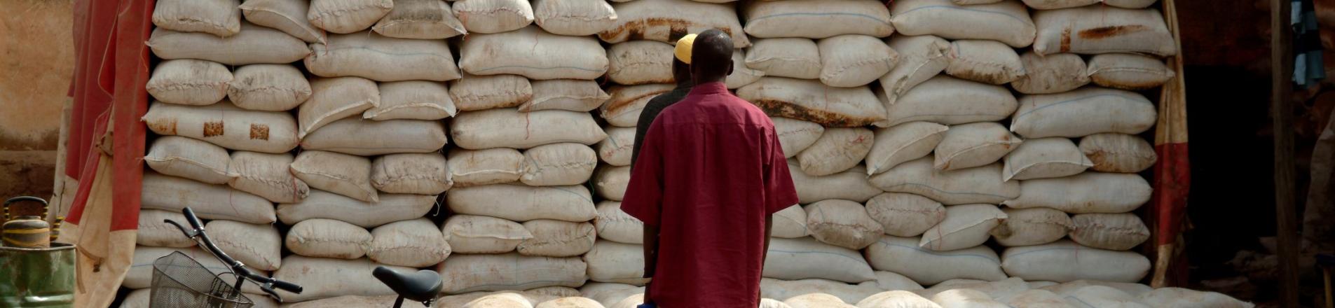 aid in Burkina Faso