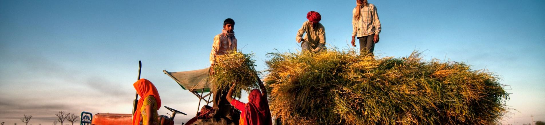 farmers in India