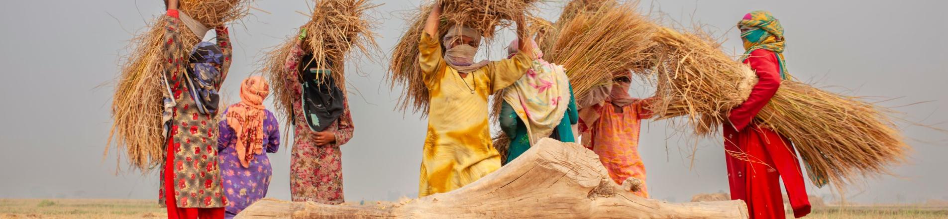 Pakistan women work