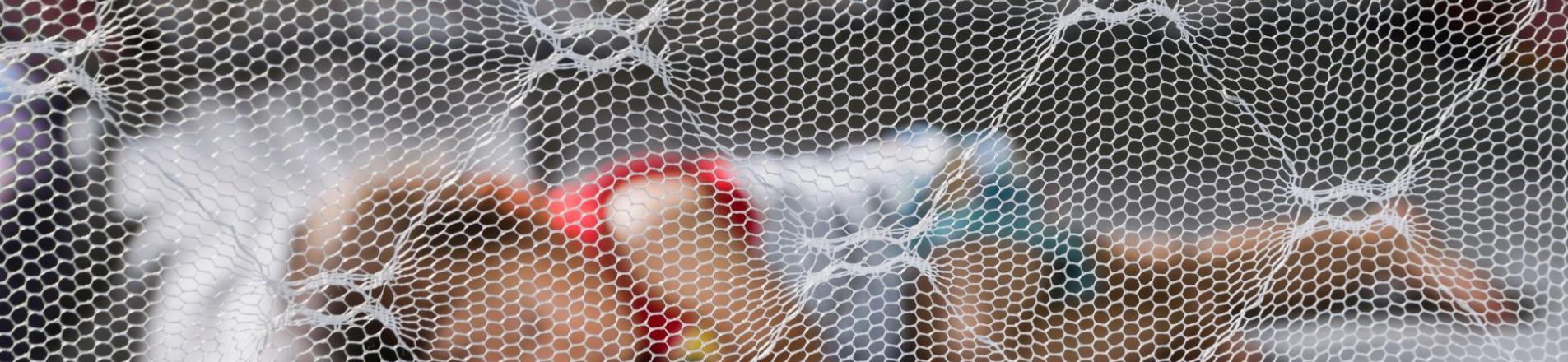 mosquito net