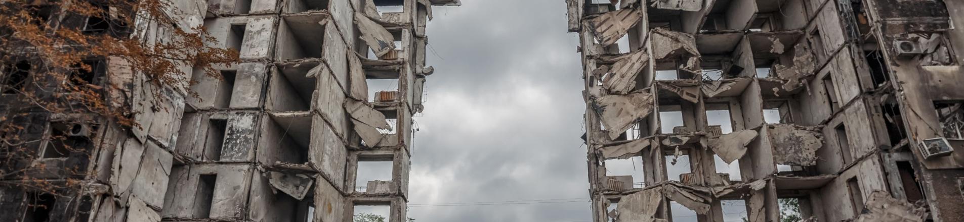 Ukraine war