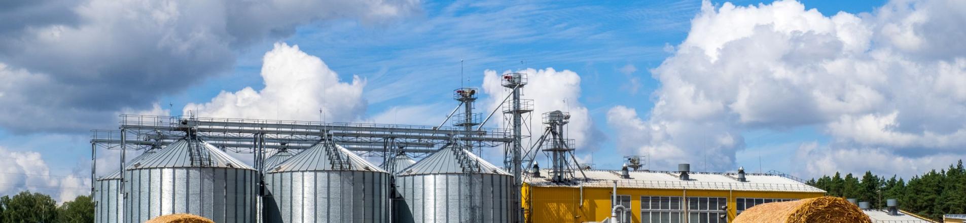 agrifood