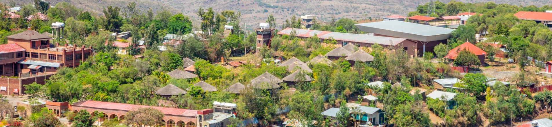 Amhara
