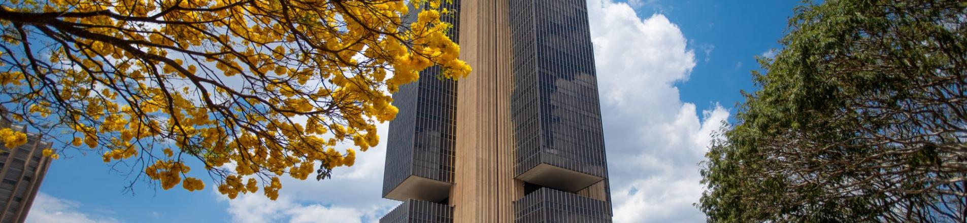 central bank of Brazil