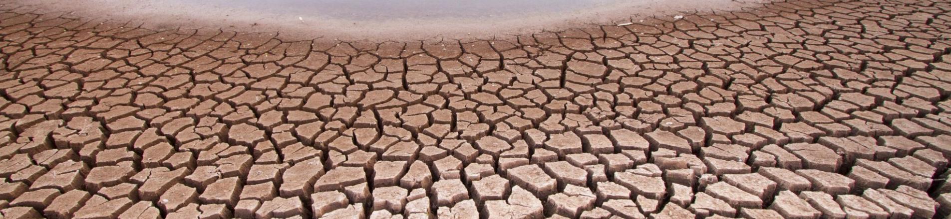 climate adaptation