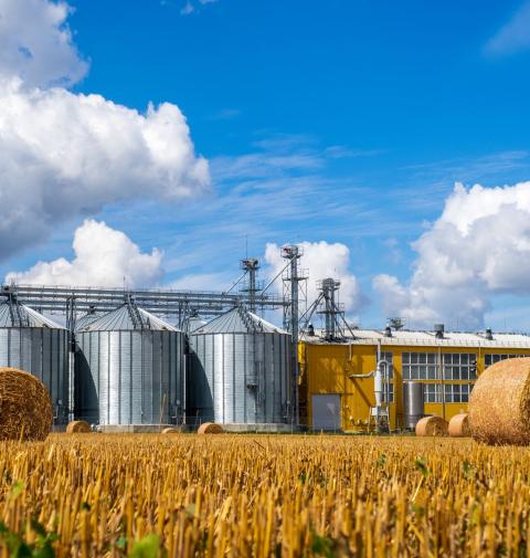 agrifood