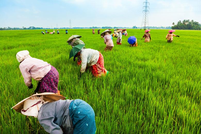 india farmers 