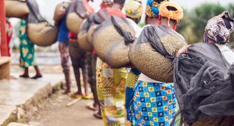 Agronomy training in Rwanda had negative spillovers image