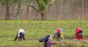 Agricultural workers in India